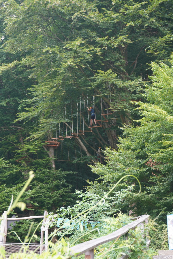 (c) Maria Neustifter