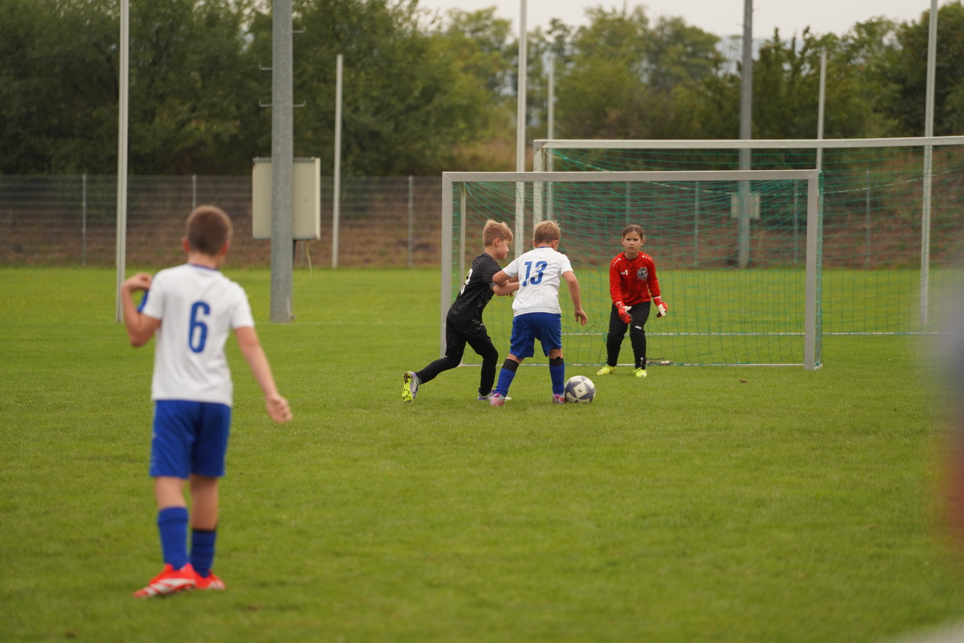 (c) Maria Neustifter