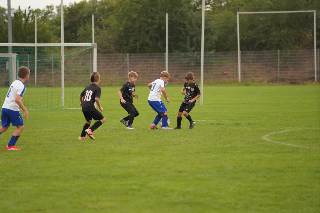 (c) Maria Neustifter