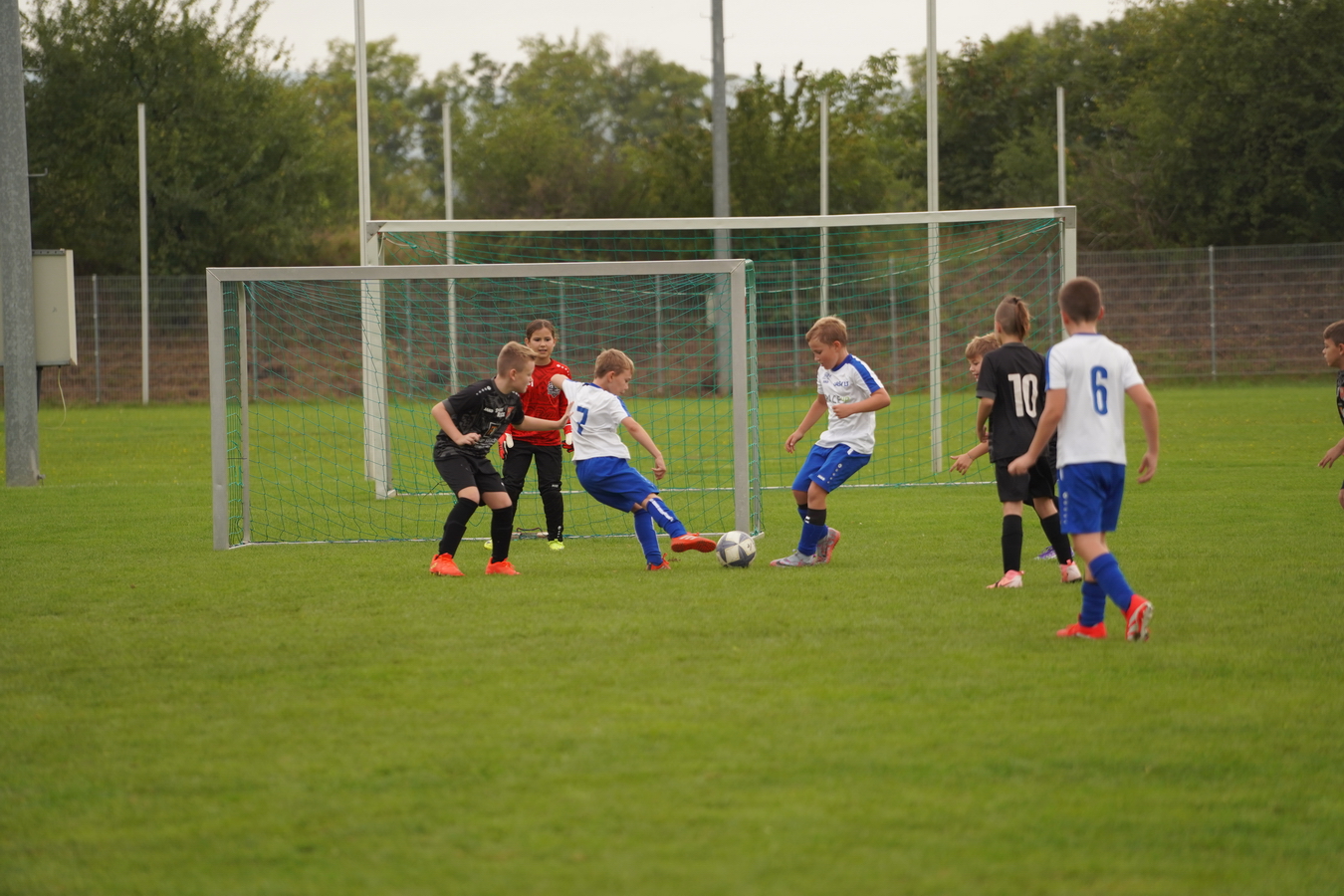 (c) Maria Neustifter