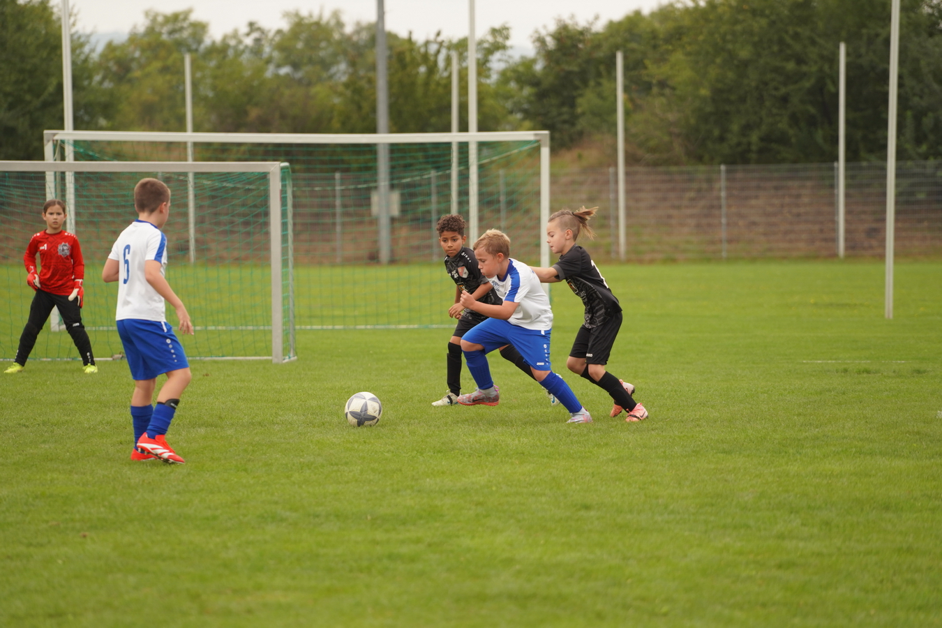 (c) Maria Neustifter