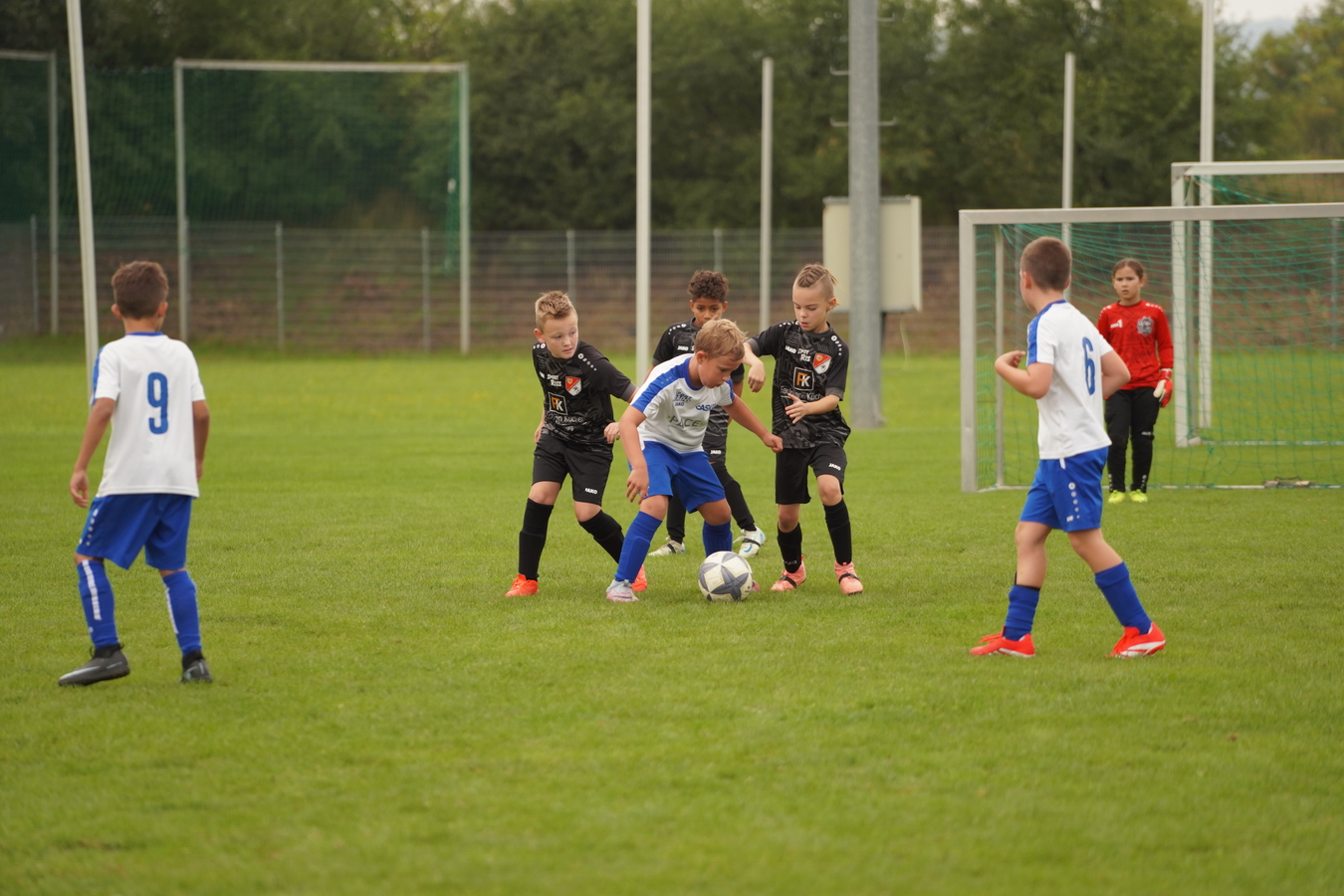 (c) Maria Neustifter