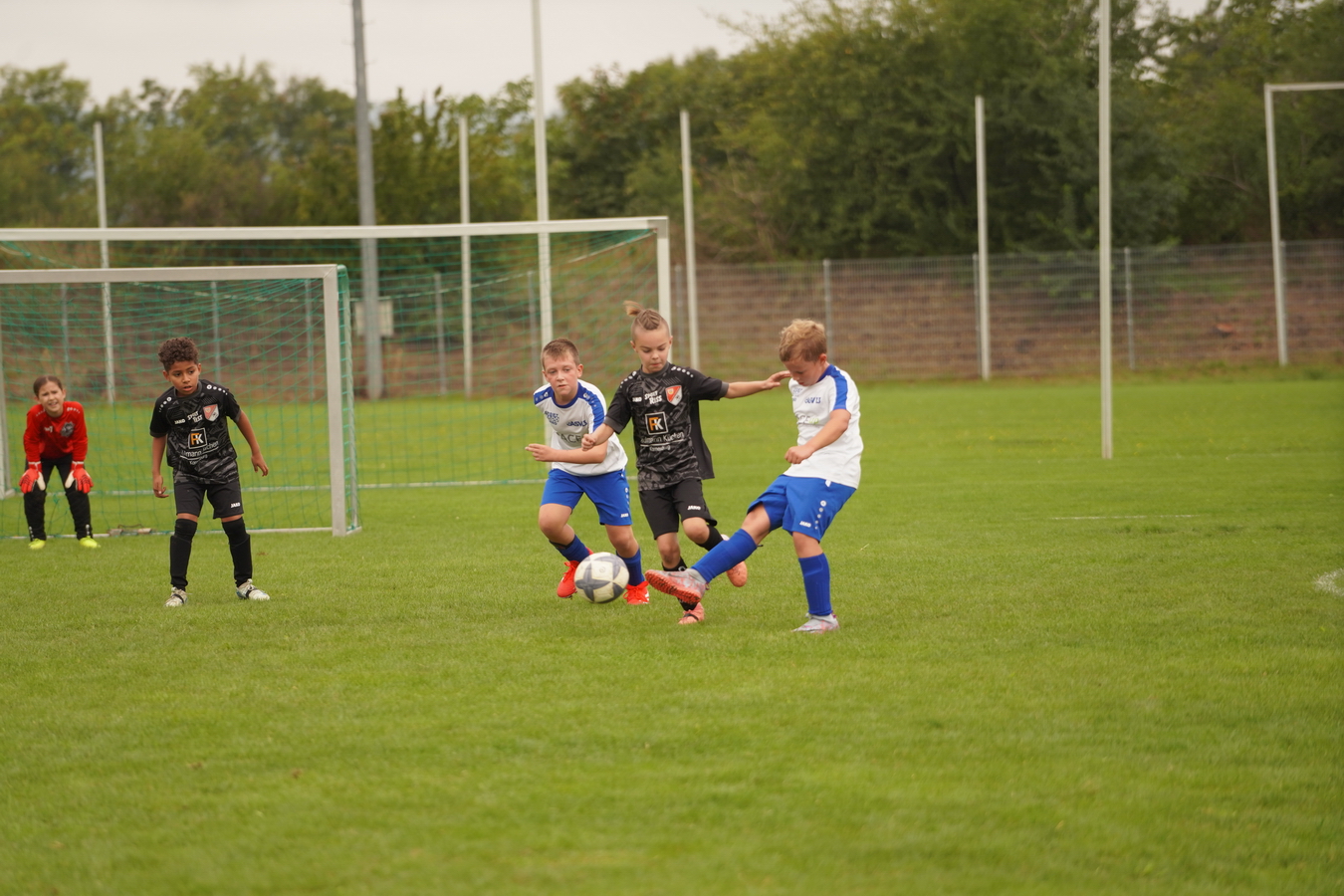 (c) Maria Neustifter