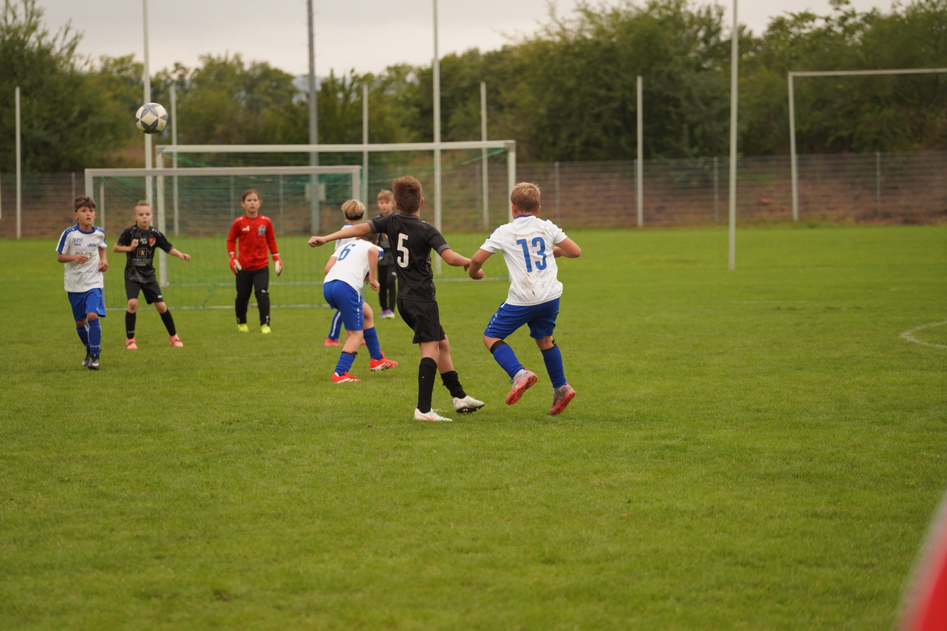 (c) Maria Neustifter