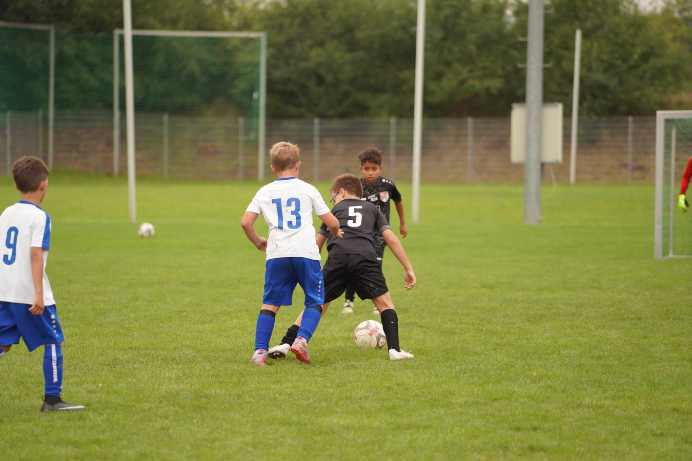 (c) Maria Neustifter