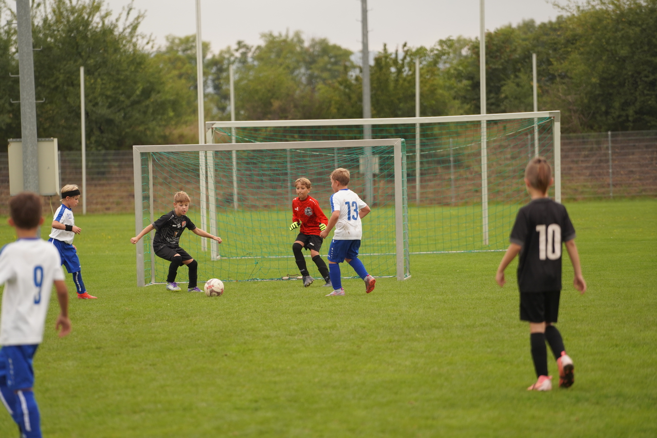 (c) Maria Neustifter