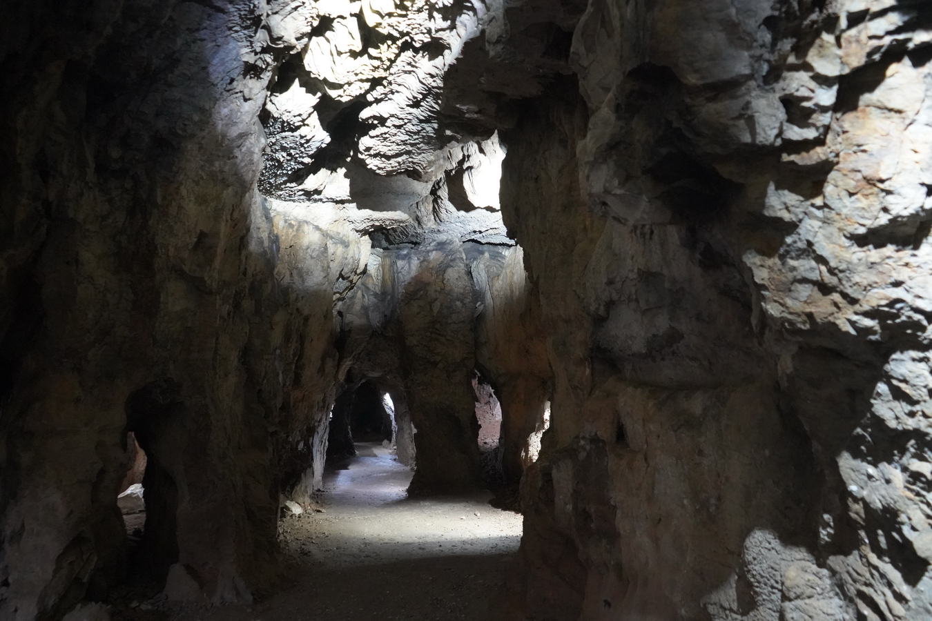 (c) Maria Neustifter