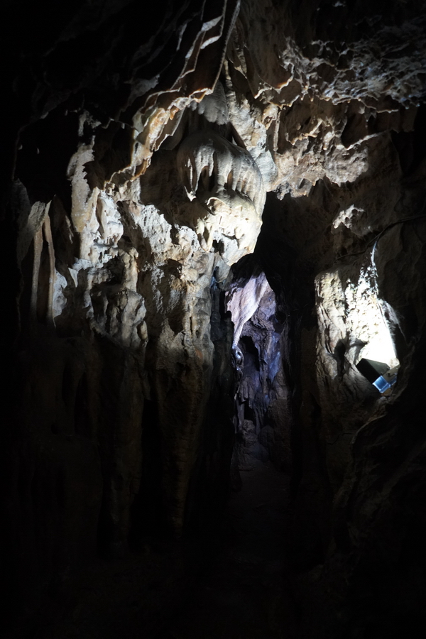 (c) Maria Neustifter