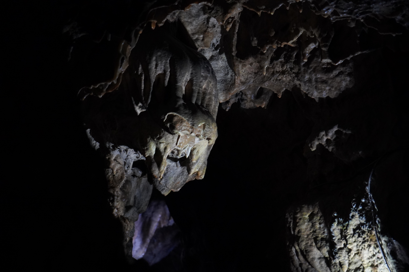 (c) Maria Neustifter