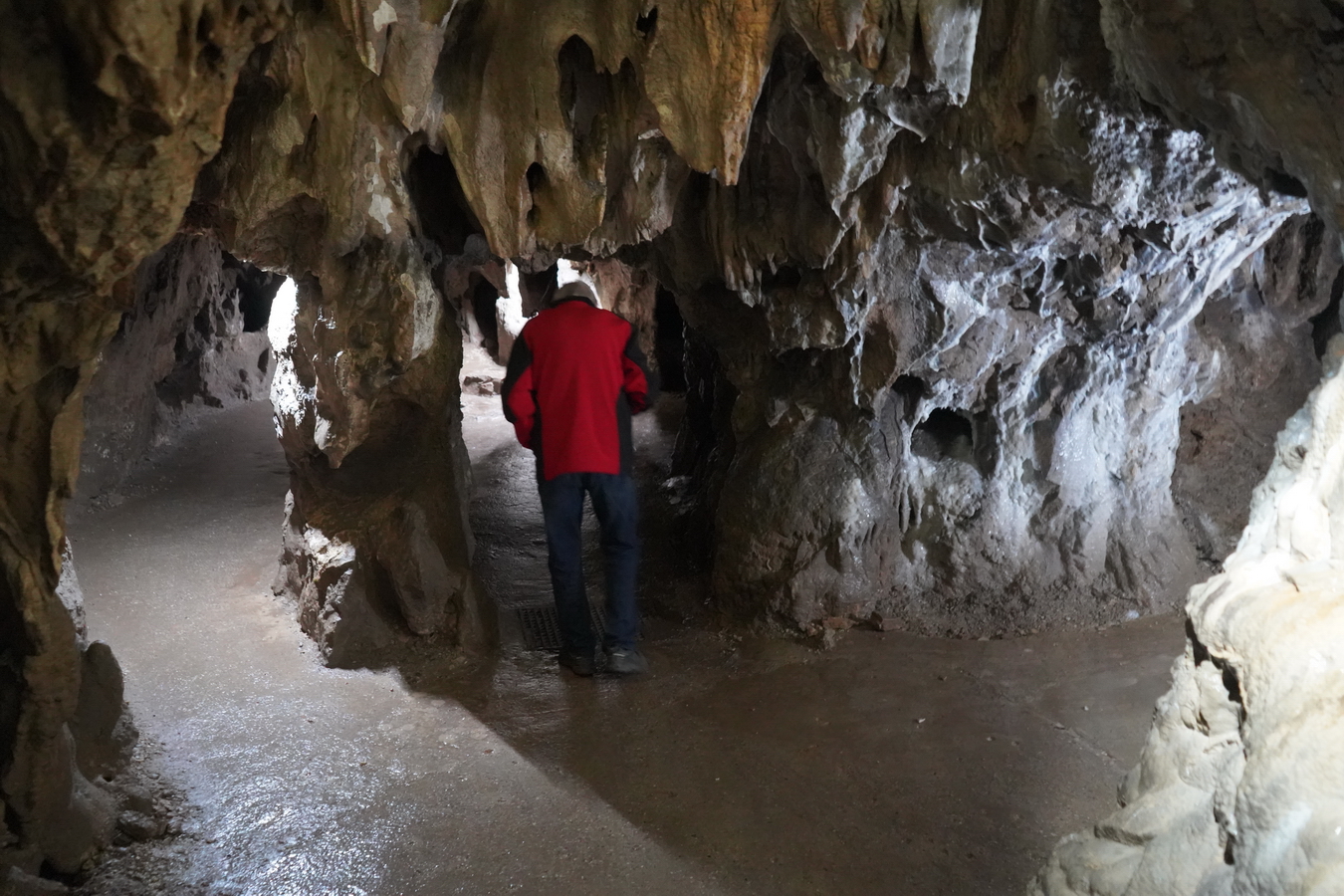 (c) Maria Neustifter