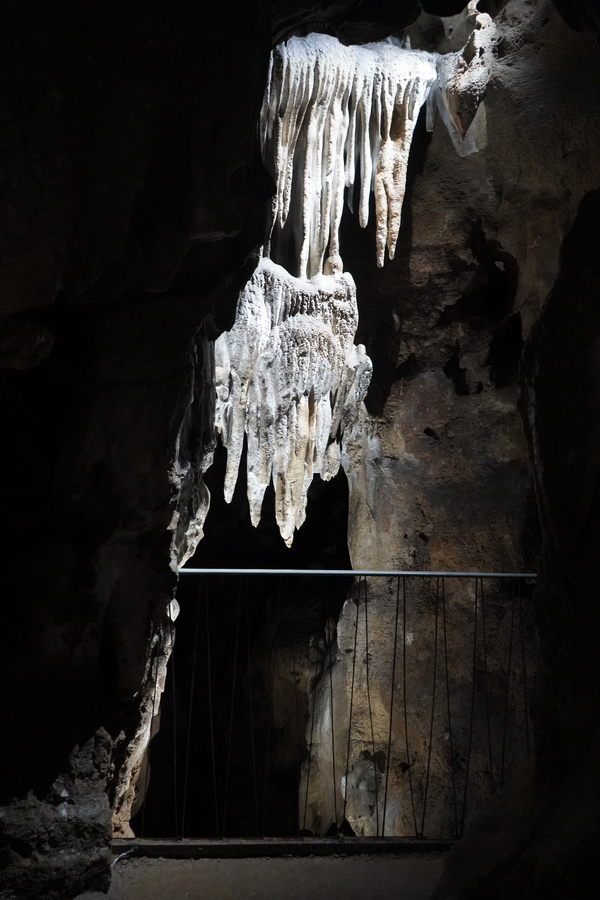 (c) Maria Neustifter