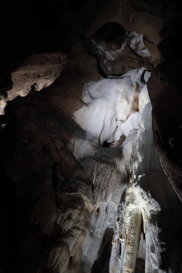 (c) Maria Neustifter