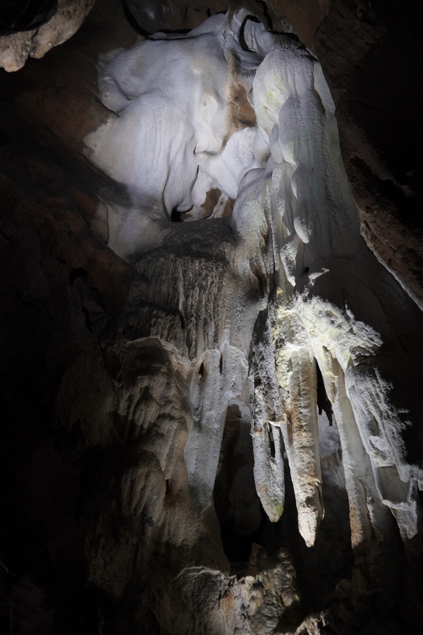 (c) Maria Neustifter