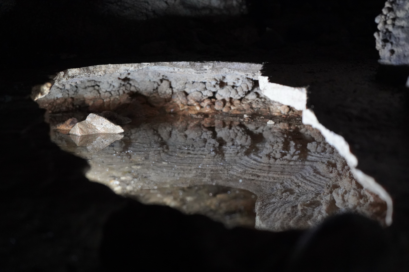 (c) Maria Neustifter