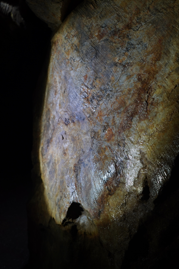 (c) Maria Neustifter