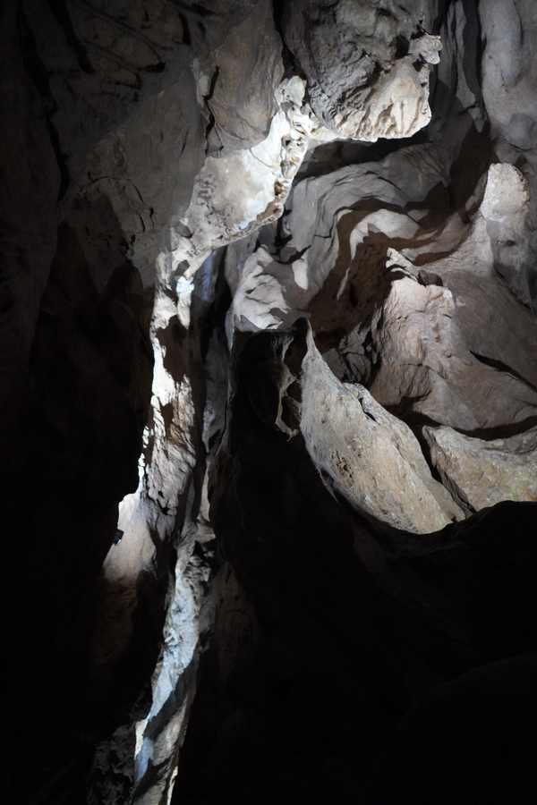 (c) Maria Neustifter