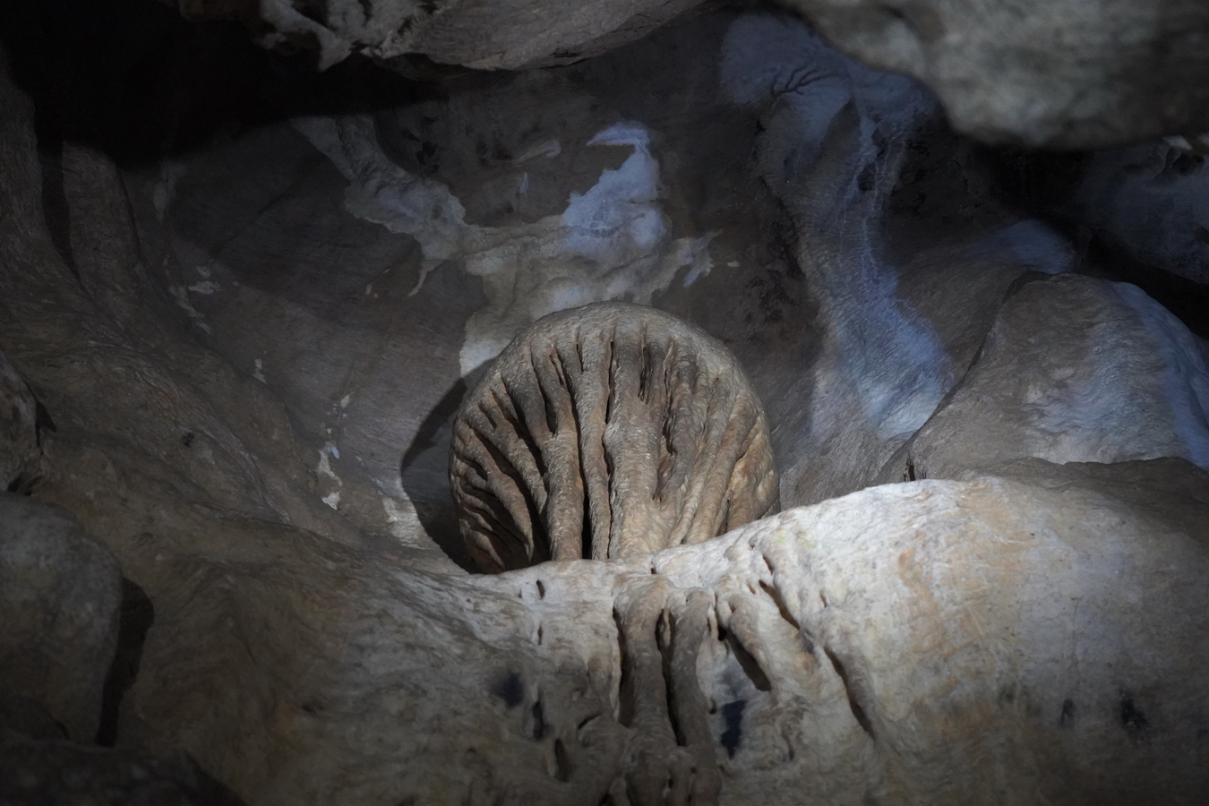 (c) Maria Neustifter