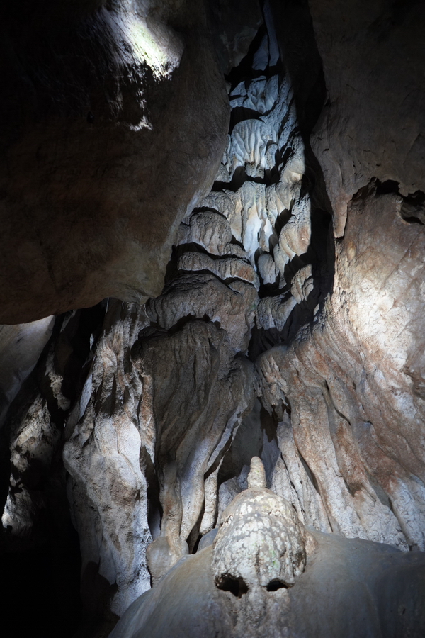 (c) Maria Neustifter