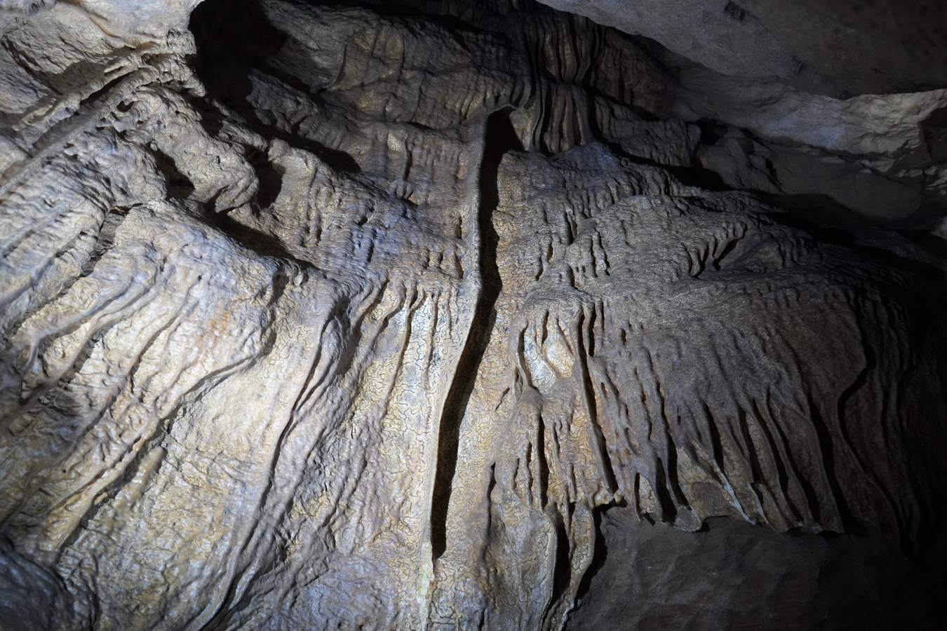 (c) Maria Neustifter