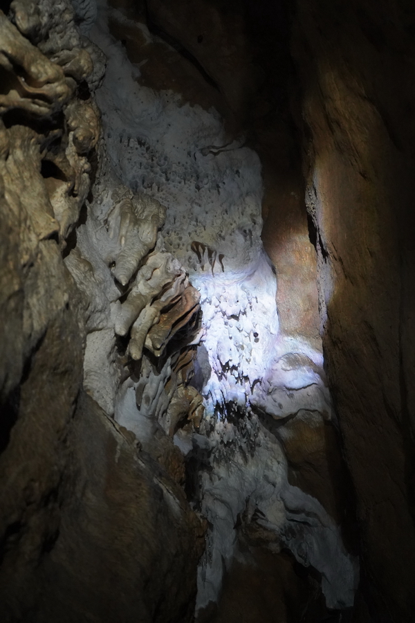 (c) Maria Neustifter