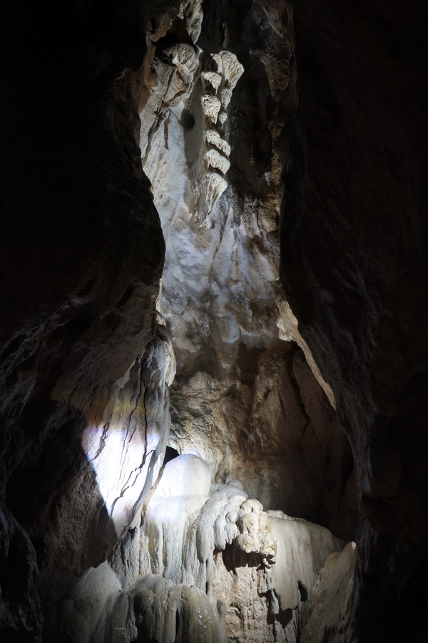 (c) Maria Neustifter