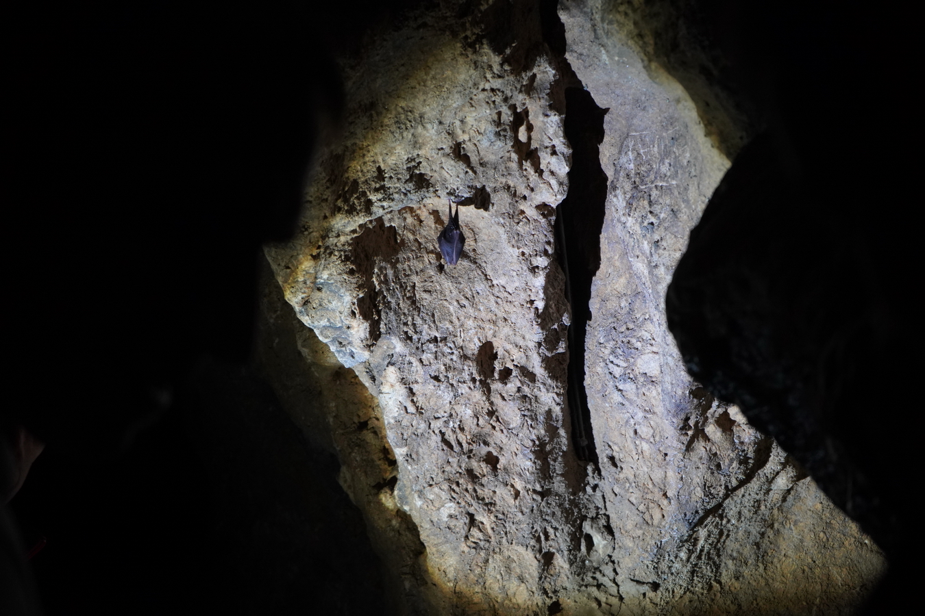 (c) Maria Neustifter