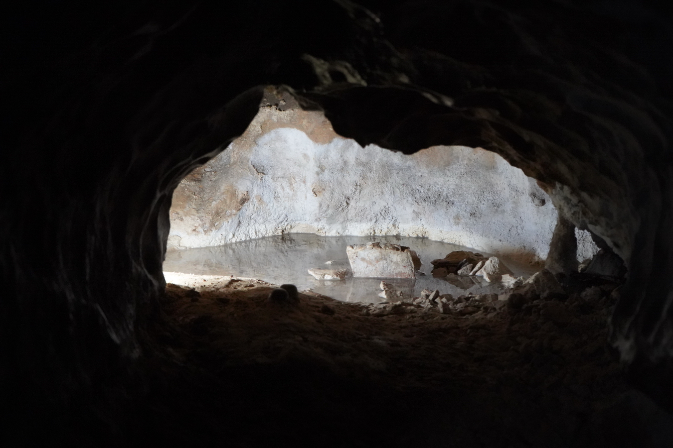 (c) Maria Neustifter