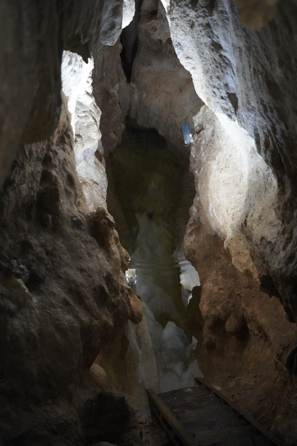 (c) Maria Neustifter