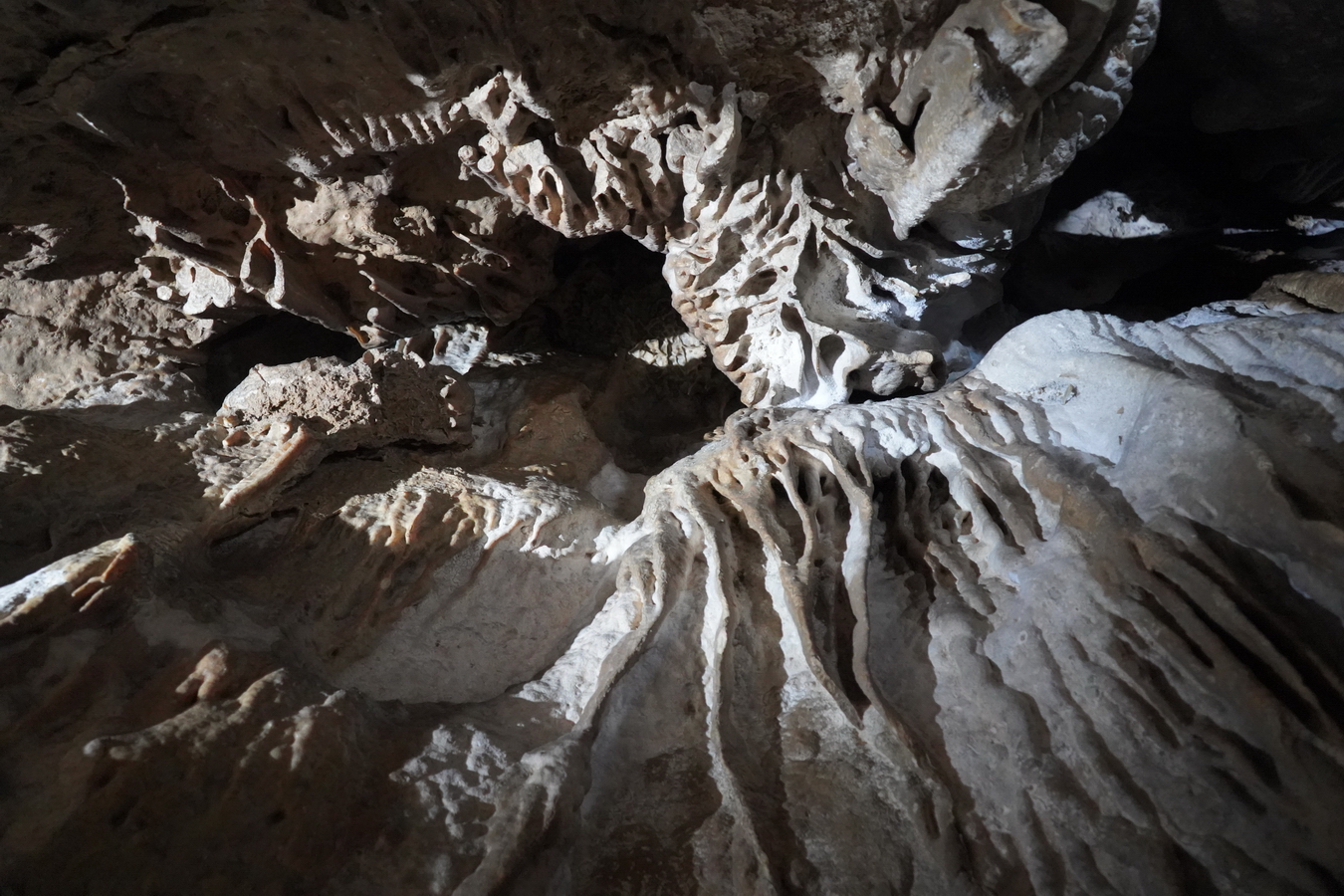 (c) Maria Neustifter