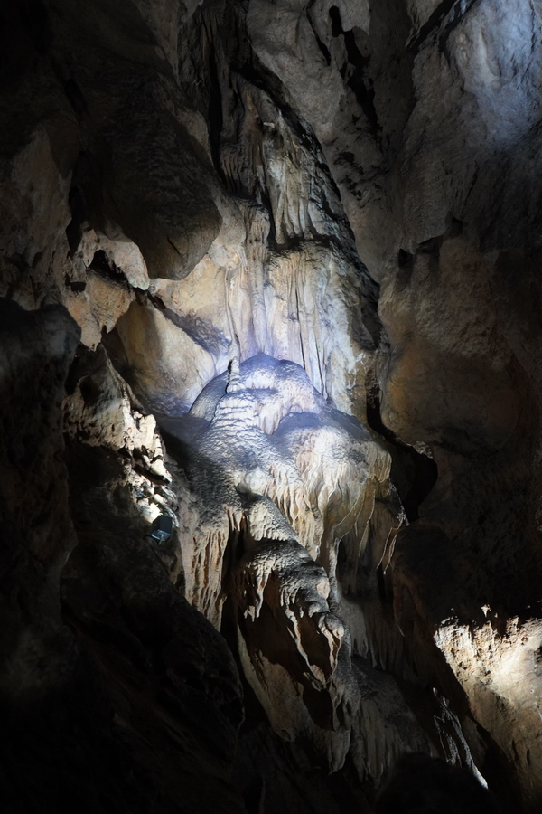 (c) Maria Neustifter