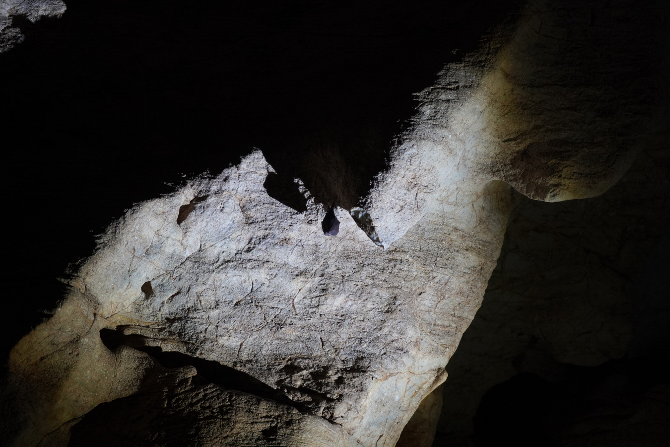 (c) Maria Neustifter