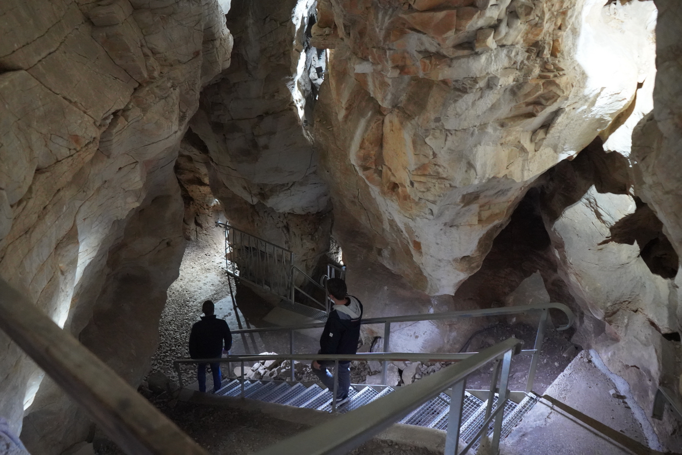 (c) Maria Neustifter