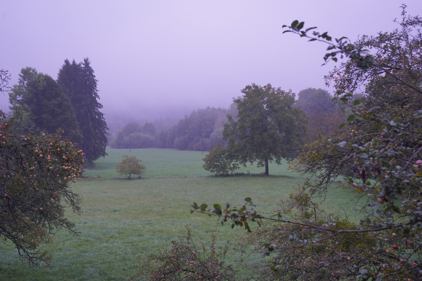 (c) Maria Neustifter